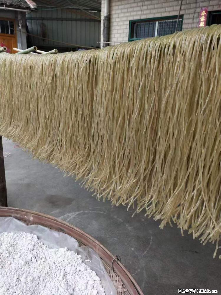 【灌阳正宗红薯粉】美女家里自己做的，干净卫生，假一赔十，价格合理，抢购电话：13737312895 - 美食天地 - 岳阳生活社区 - 岳阳28生活网 yy.28life.net