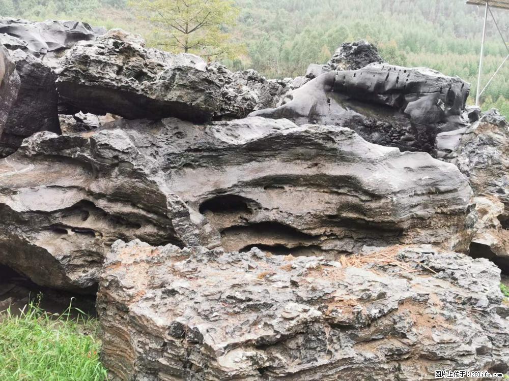 风景石、假山石大量有货,有需要的欢迎联系 - 新手上路 - 岳阳生活社区 - 岳阳28生活网 yy.28life.net