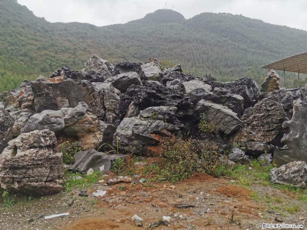 风景石、假山石大量有货,有需要的欢迎联系 - 新手上路 - 岳阳生活社区 - 岳阳28生活网 yy.28life.net