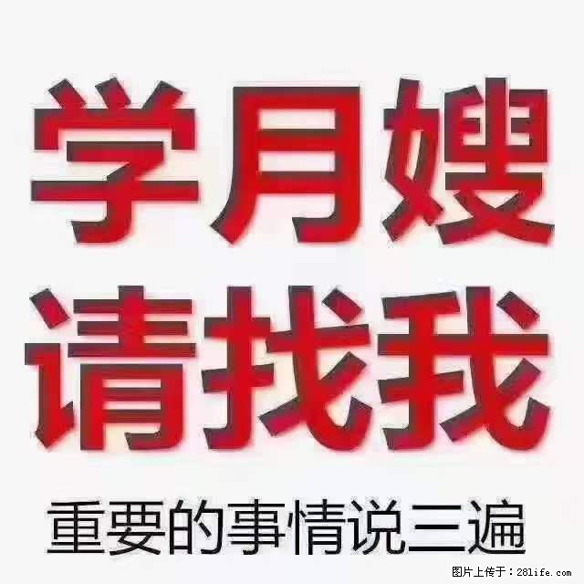 为什么要学习月嫂，育婴师？ - 新手上路 - 岳阳生活社区 - 岳阳28生活网 yy.28life.net