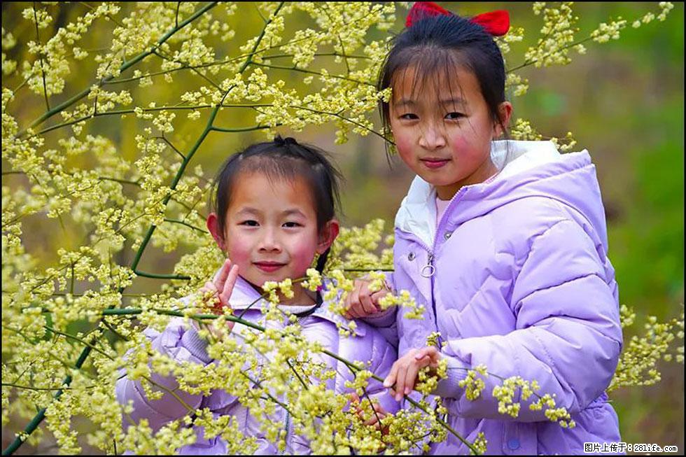 【春天，广西桂林灌阳县向您发出邀请！】米珠山前有片山苍子花在飘香 - 游山玩水 - 岳阳生活社区 - 岳阳28生活网 yy.28life.net