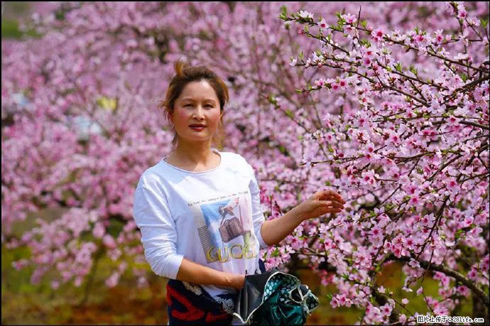 【春天，广西桂林灌阳县向您发出邀请！】官庄村有个醉美的桃花园 - 游山玩水 - 岳阳生活社区 - 岳阳28生活网 yy.28life.net