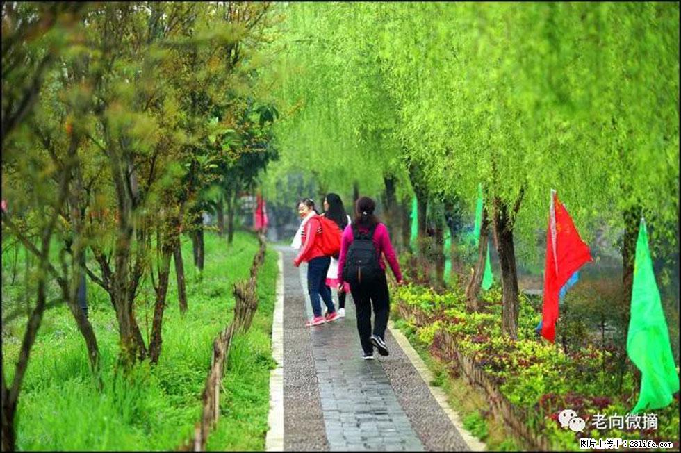 【春天，广西桂林灌阳县向您发出邀请！】江口老街又逢春 - 游山玩水 - 岳阳生活社区 - 岳阳28生活网 yy.28life.net