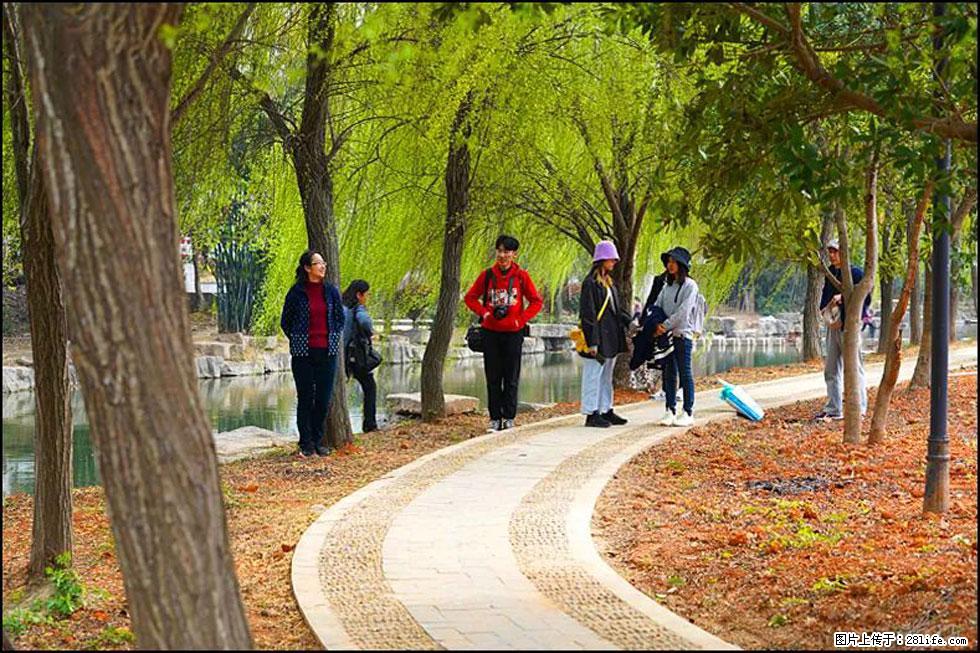 【春天，广西桂林灌阳县向您发出邀请！】江口老街又逢春 - 游山玩水 - 岳阳生活社区 - 岳阳28生活网 yy.28life.net