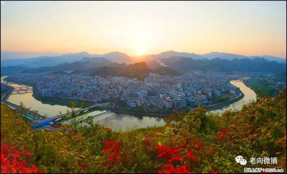 【春天，广西桂林灌阳县向您发出邀请！】登麒麟山，相约映山红 - 游山玩水 - 岳阳生活社区 - 岳阳28生活网 yy.28life.net