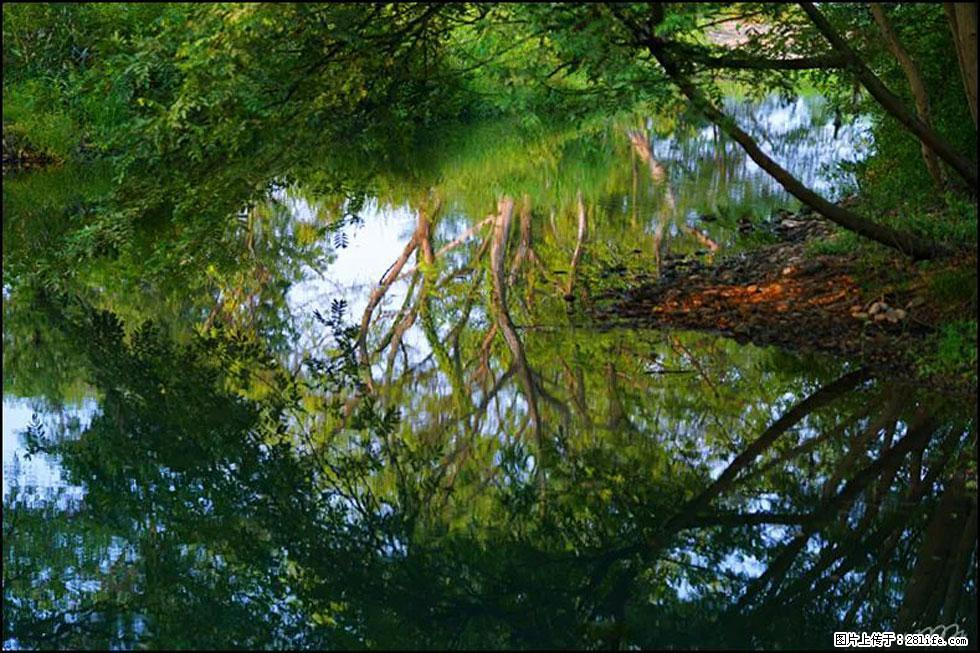 【春天，广西桂林灌阳县向您发出邀请！】熊家寨湿地公园 - 游山玩水 - 岳阳生活社区 - 岳阳28生活网 yy.28life.net