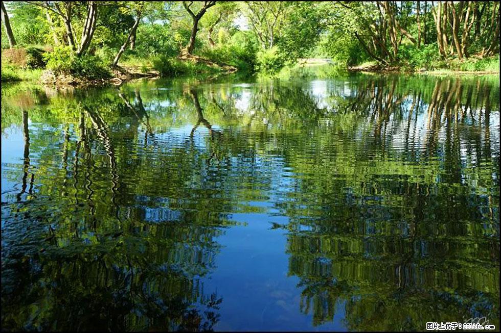 【春天，广西桂林灌阳县向您发出邀请！】熊家寨湿地公园 - 游山玩水 - 岳阳生活社区 - 岳阳28生活网 yy.28life.net