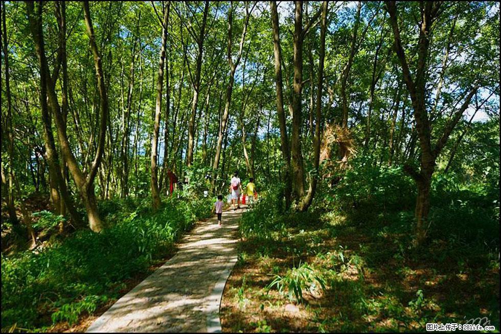 【春天，广西桂林灌阳县向您发出邀请！】熊家寨湿地公园 - 游山玩水 - 岳阳生活社区 - 岳阳28生活网 yy.28life.net