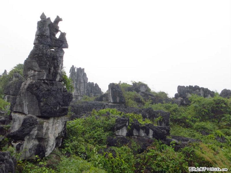 桂林旅游名城景点：灌阳文市石林 - 游山玩水 - 岳阳生活社区 - 岳阳28生活网 yy.28life.net