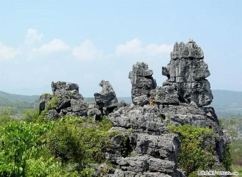 桂林旅游名城景点：灌阳文市石林 - 游山玩水 - 岳阳生活社区 - 岳阳28生活网 yy.28life.net