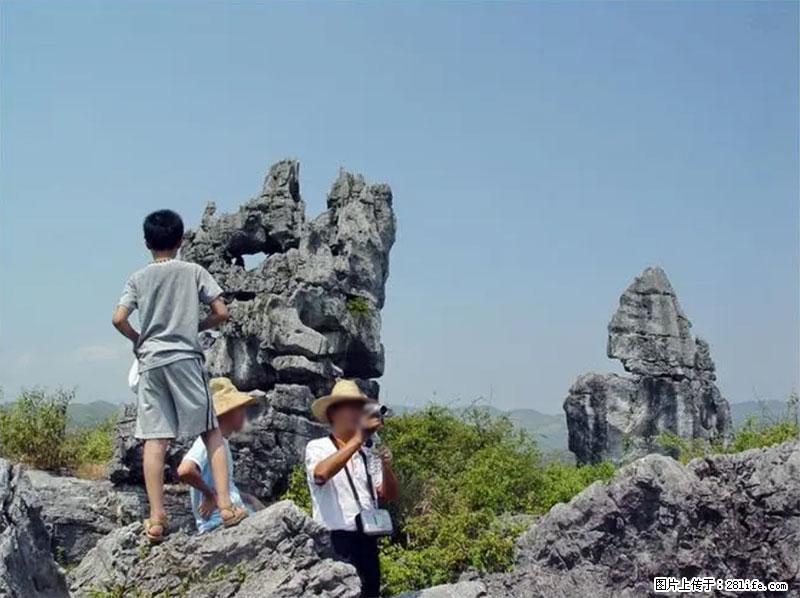 桂林旅游名城景点：灌阳文市石林 - 游山玩水 - 岳阳生活社区 - 岳阳28生活网 yy.28life.net