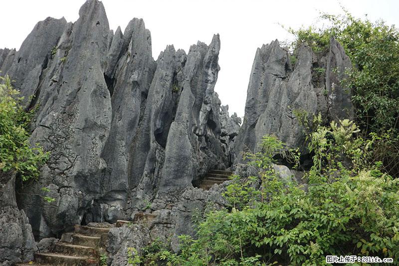 桂林旅游名城景点：灌阳文市石林 - 游山玩水 - 岳阳生活社区 - 岳阳28生活网 yy.28life.net