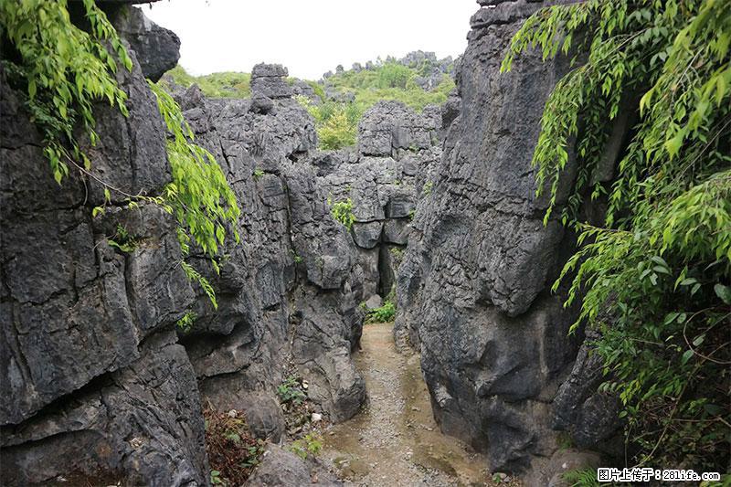桂林旅游名城景点：灌阳文市石林 - 游山玩水 - 岳阳生活社区 - 岳阳28生活网 yy.28life.net
