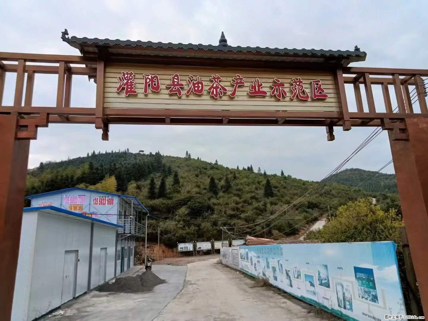 【灌阳县油茶产业示范区】一个有着充实的精神生活的人，对待身外之物自会有一种淡泊的态度 - 土特产 - 饮食特产 - 岳阳分类信息 - 岳阳28生活网 yy.28life.net