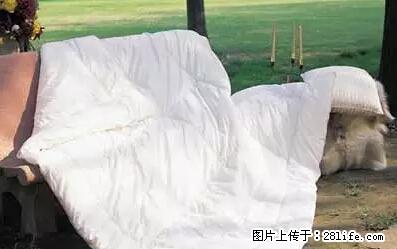 被子有异味？只要这样做，比晒太阳还强100倍！ - 家居生活 - 岳阳生活社区 - 岳阳28生活网 yy.28life.net