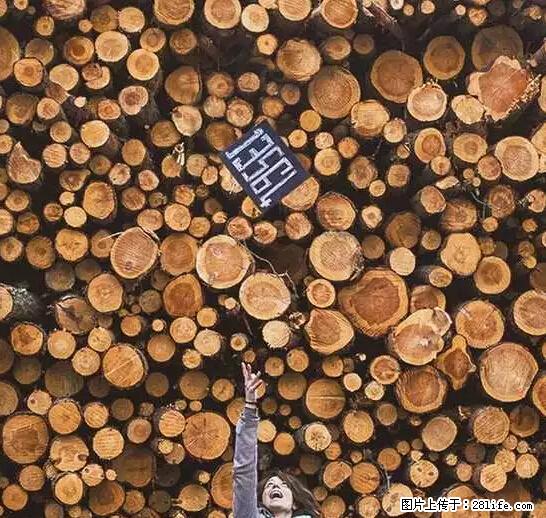 辞掉工作周游世界？现在他们在洗厕所…… - 游山玩水 - 岳阳生活社区 - 岳阳28生活网 yy.28life.net