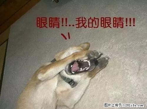 笑癫了！一女的怀孕三年未生，他终于忍不住了... - 娱乐八卦 - 岳阳生活社区 - 岳阳28生活网 yy.28life.net