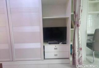 房博士 新路口妇幼旁 中建岳阳中心 精装单身公寓可拎包入住 - 岳阳28生活网 yy.28life.net