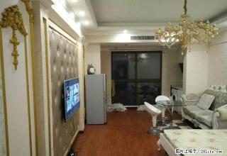 (单间出租)房博士 大润发旁天伦金三角豪装单身公寓 拎包入住 - 岳阳28生活网 yy.28life.net