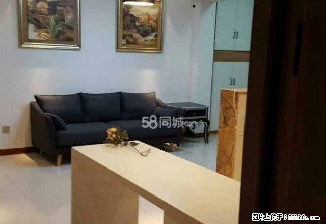 房博士房子在东茅岭步行街一医院百盛康星天虹附近的精品公寓楼 - 房屋出租 - 房屋租售 - 岳阳分类信息 - 岳阳28生活网 yy.28life.net