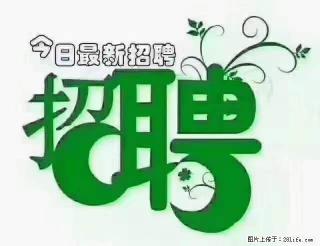 【招聘摄像师】待遇：试用期6000元/月，转正7000元/月+五险一金+餐补+节日福利+奖金 - 岳阳28生活网 yy.28life.net