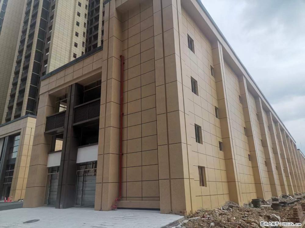 【广西三象建筑安装工程有限公司】外墙涂料工程 - 新手上路 - 岳阳生活社区 - 岳阳28生活网 yy.28life.net
