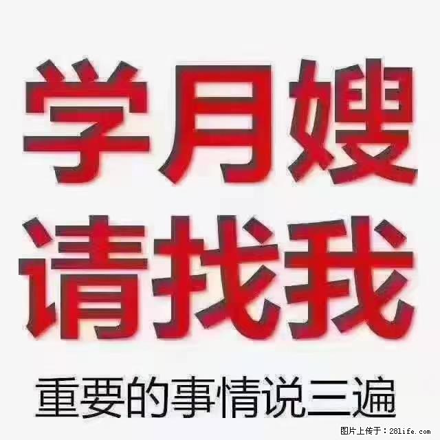 【招聘】月嫂，上海徐汇区 - 职场交流 - 岳阳生活社区 - 岳阳28生活网 yy.28life.net