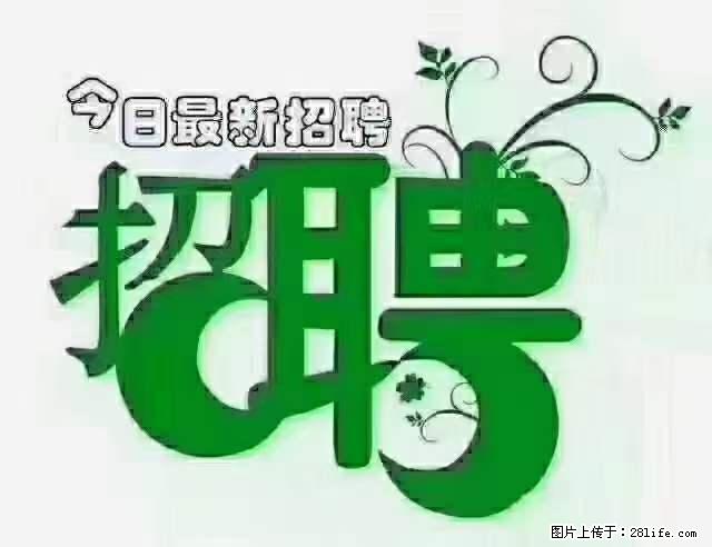 上海隔离酒店招人：55岁以下 男女不限 - 职场交流 - 岳阳生活社区 - 岳阳28生活网 yy.28life.net
