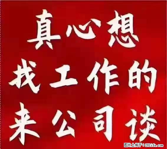 【上海】国企，医院招两名男保安，55岁以下，身高1.7米以上，无犯罪记录不良嗜好 - 职场交流 - 岳阳生活社区 - 岳阳28生活网 yy.28life.net