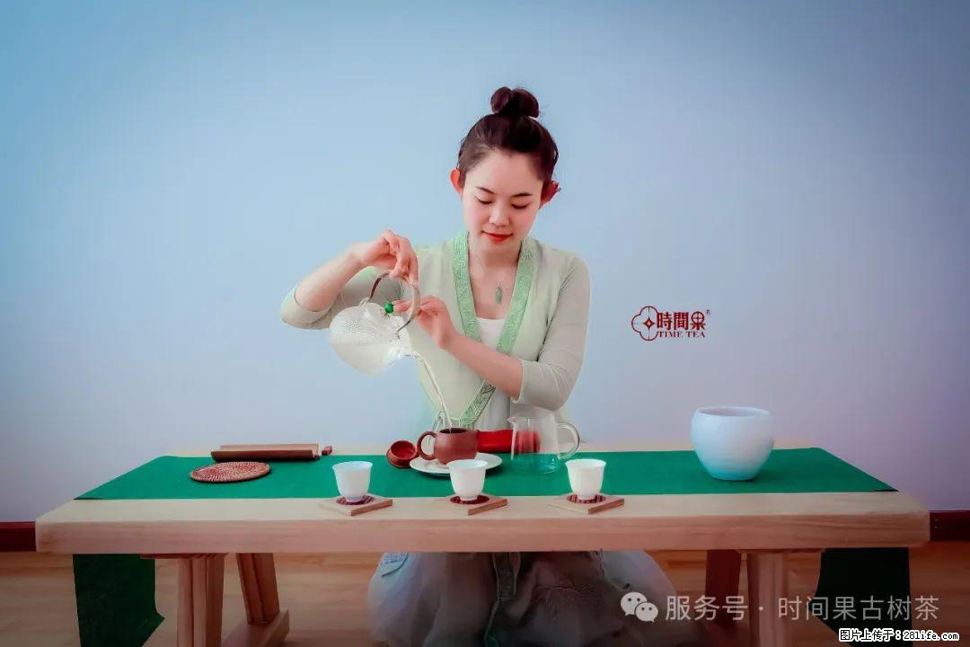 时间果百年古树龙珠普洱生茶 - 购物交流 - 岳阳生活社区 - 岳阳28生活网 yy.28life.net