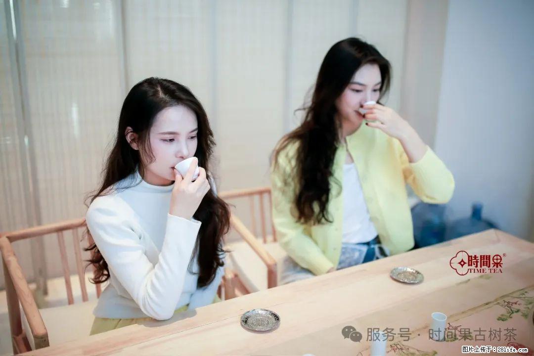 时间果百年古树龙珠普洱生茶 - 购物交流 - 岳阳生活社区 - 岳阳28生活网 yy.28life.net