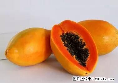 晕车、脚气、牙齿变黄、皮肤粗糙？学会这些三分钟搞定！ - 岳阳生活资讯 - 岳阳28生活网 yy.28life.net