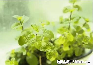 晕车、脚气、牙齿变黄、皮肤粗糙？学会这些三分钟搞定！ - 岳阳生活资讯 - 岳阳28生活网 yy.28life.net