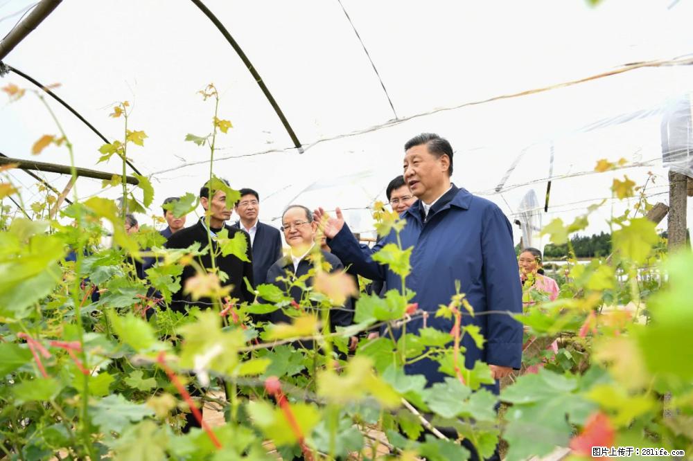 习近平赴广西考察调研 - 岳阳生活资讯 - 岳阳28生活网 yy.28life.net