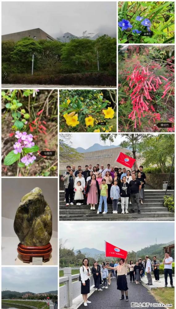“粤灌文化 美好生活”油茶文化主题活动在广东深圳成功举办 - 岳阳生活资讯 - 岳阳28生活网 yy.28life.net