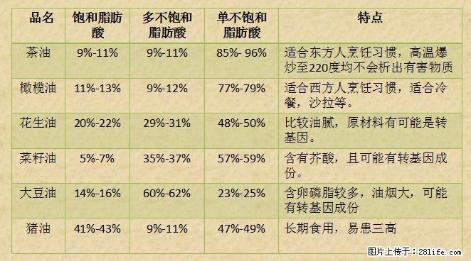 揭秘茶油的5大核心营养成分！被称为人体健康的“守护盾”！ - 岳阳生活资讯 - 岳阳28生活网 yy.28life.net