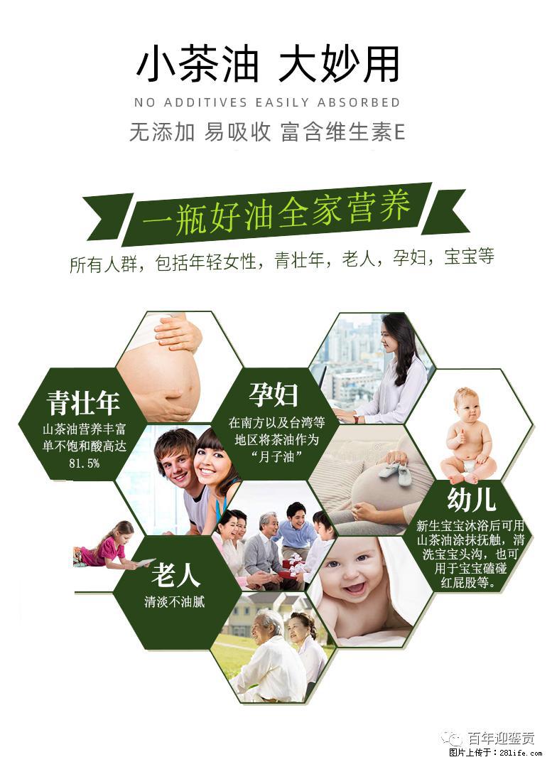 世界没有真相，只有认知，最好的食用油是中国的山茶油！ - 岳阳生活资讯 - 岳阳28生活网 yy.28life.net