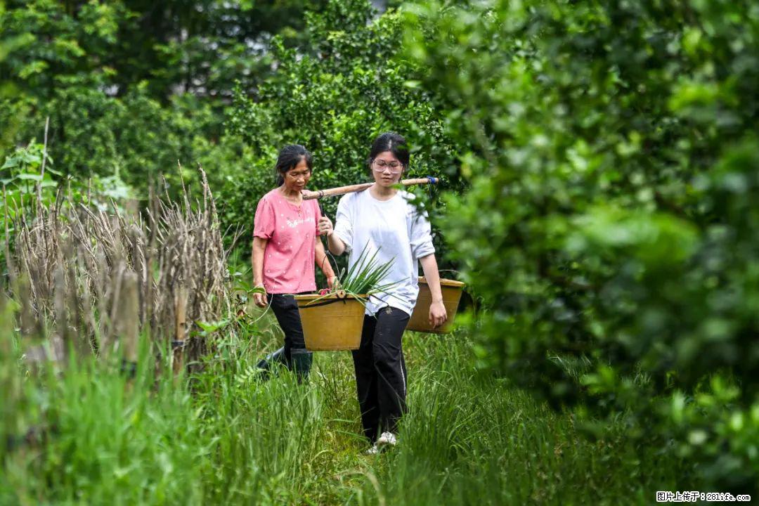 全网追的“扁担女孩”，找了一份暑假工，时薪12元 - 岳阳生活资讯 - 岳阳28生活网 yy.28life.net