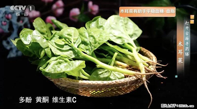 比牛奶补钙还厉害！凉血解毒、稳血糖...这菜冬天必吃，很多人却当草 - 岳阳生活资讯 - 岳阳28生活网 yy.28life.net