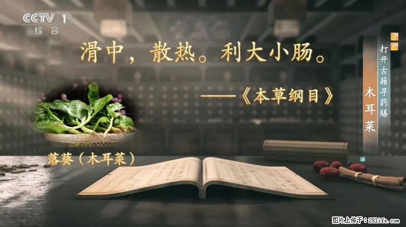 比牛奶补钙还厉害！凉血解毒、稳血糖...这菜冬天必吃，很多人却当草 - 岳阳生活资讯 - 岳阳28生活网 yy.28life.net