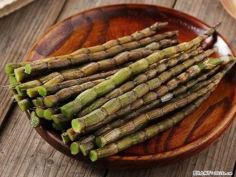 铁皮石斛的作用与功能主治 - 岳阳生活资讯 - 岳阳28生活网 yy.28life.net